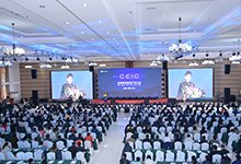 公开信息按发布时间滚动