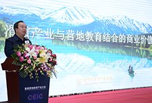 同栏目条目通常按时间倒序排列