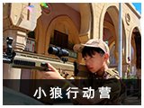 HTH平台