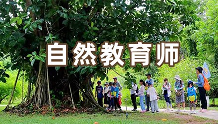 招生合作(9