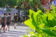 今朝雏鹰京华聚 来日鲲鹏展翼升