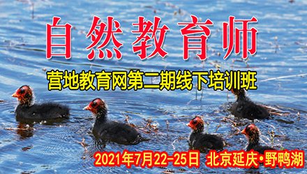 营地主营地HTH手机版登录营地资讯营