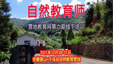 公开信息按发布时间滚动