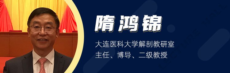 为从业者倾囊教授