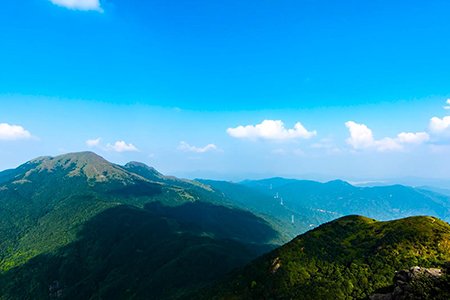 HTH平台